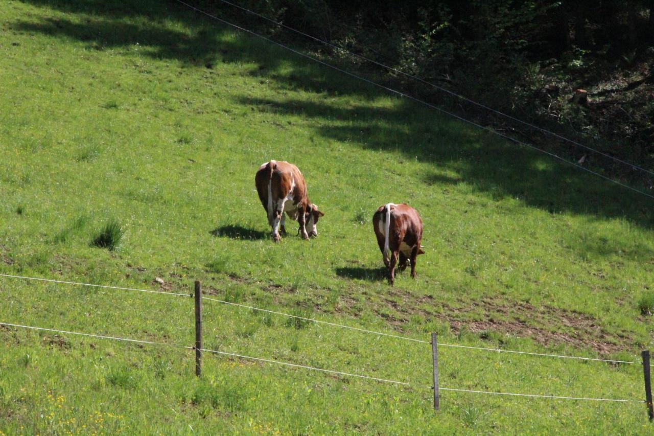 Ferienwohnung Kleissner Großklein Exteriör bild